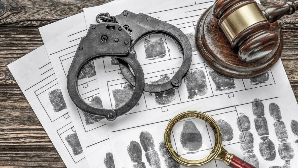 Licenciatura en Criminología - IIESBC