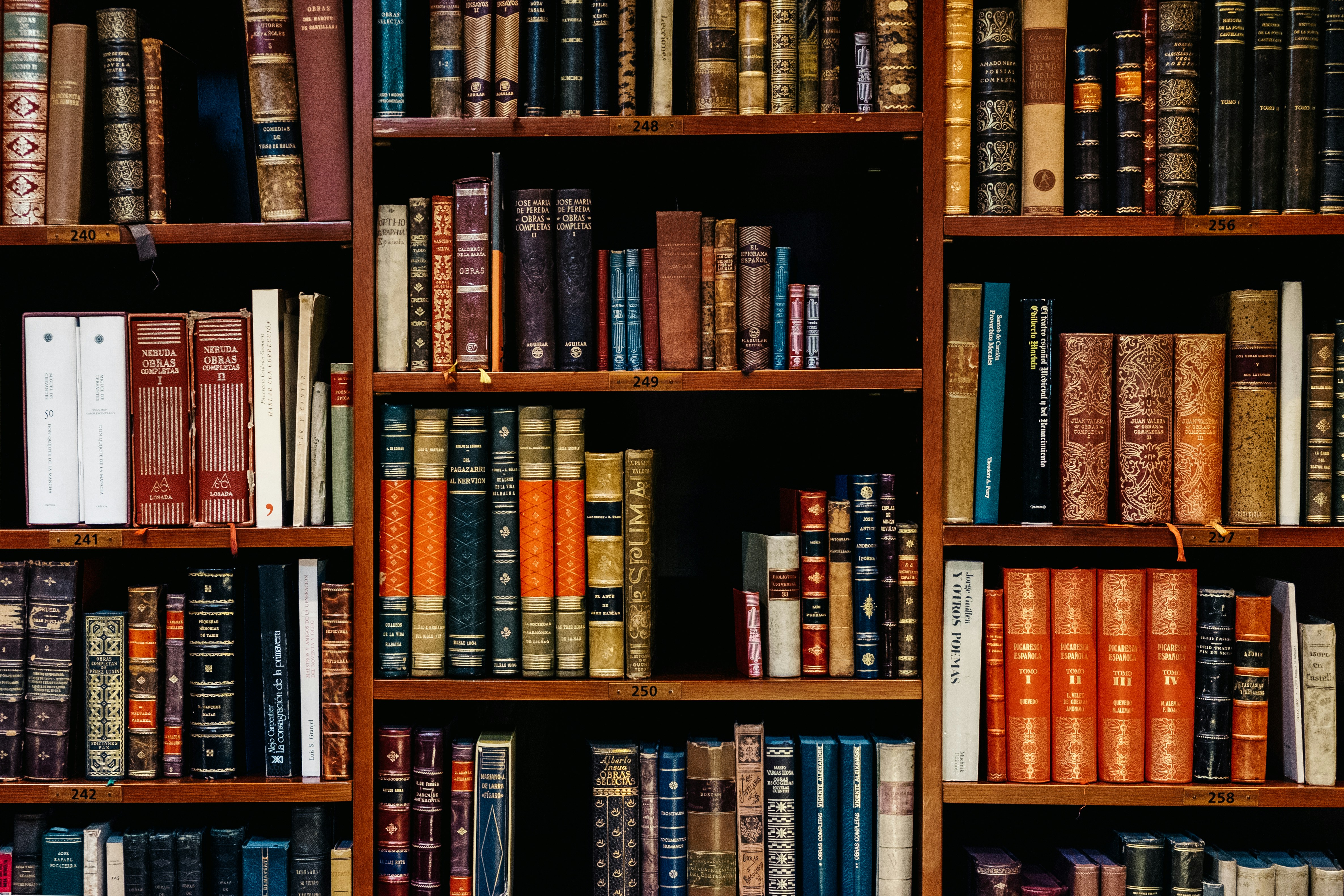 Biblioteca IIESBC
