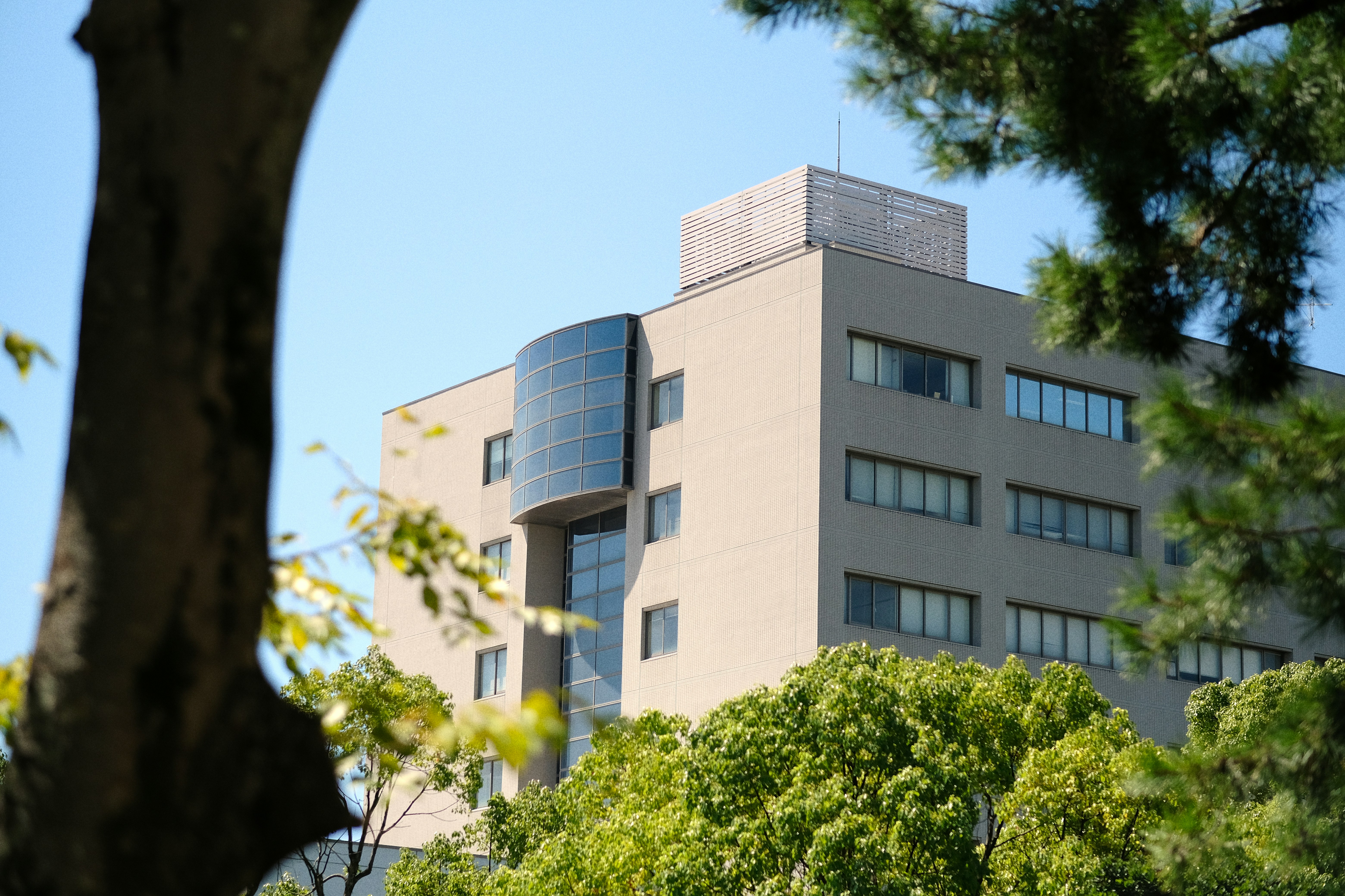 Campus IIESBC